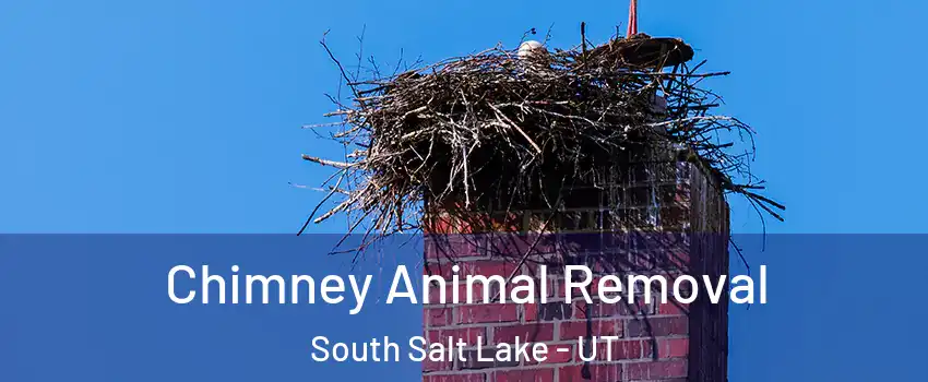 Chimney Animal Removal South Salt Lake - UT