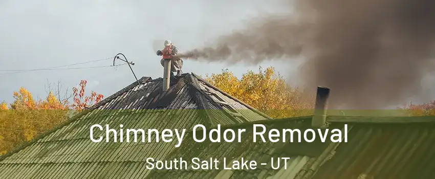  Chimney Odor Removal South Salt Lake - UT