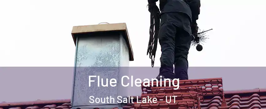  Flue Cleaning South Salt Lake - UT