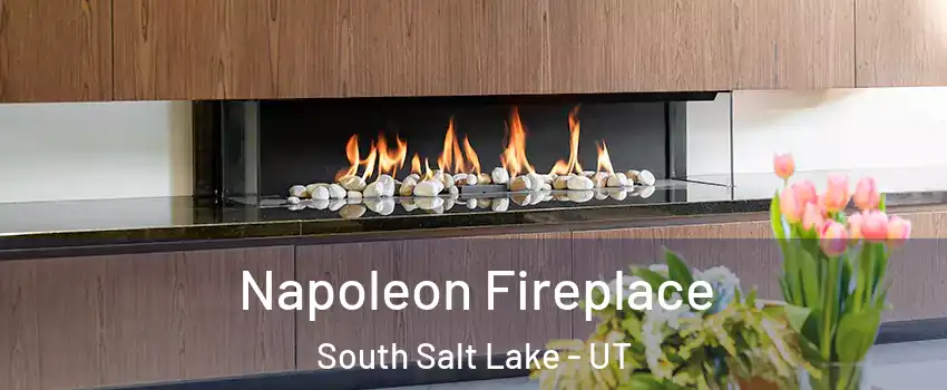  Napoleon Fireplace South Salt Lake - UT